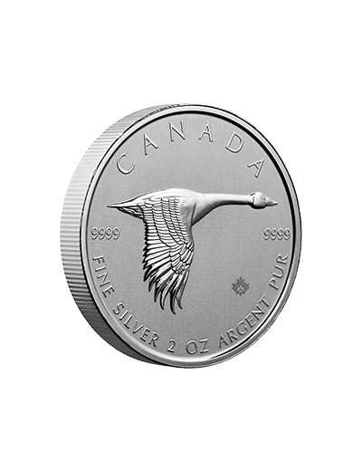 Moneta gęś kanadyjska