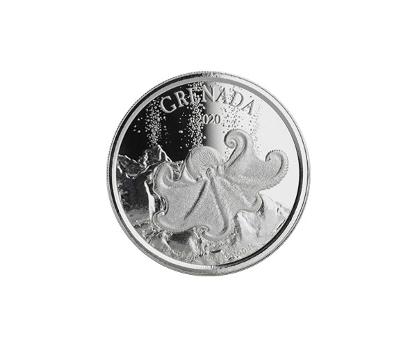 Ośmiornica Grenada 2020 1 uncja srebra