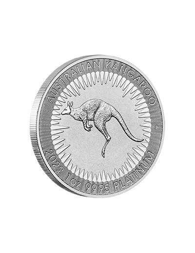 Australijski Kangur 2022