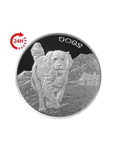 Srebrna moneta Psy Fiji 1 uncja