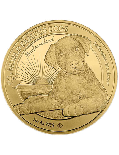 Labrador World Famous Dogs 1 uncja złota 2023