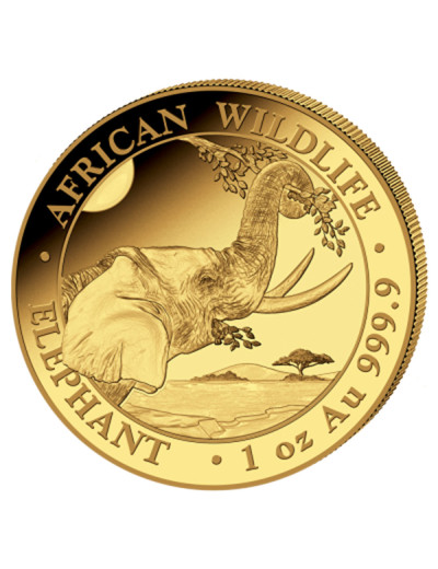 Moneta Słoń Somalijski 1 uncja złota 2023