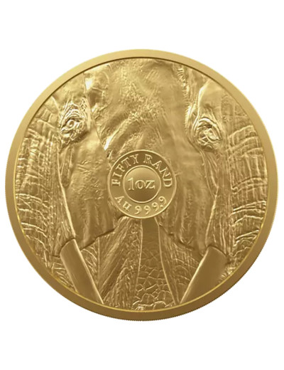 Złota moneta Słoń Wielka Piątka