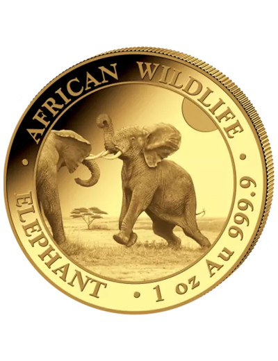 Złota moneta Słoń Somalijski
